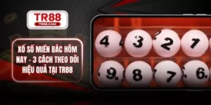Xổ Số Miền Bắc Hôm Nay - 3 Cách Theo Dõi Hiệu Quả Tại TR88